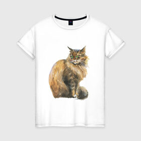 Женская футболка хлопок с принтом Кот сибирский в Курске, 100% хлопок | прямой крой, круглый вырез горловины, длина до линии бедер, слегка спущенное плечо | 