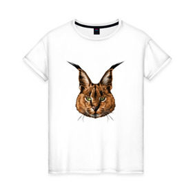 Женская футболка хлопок с принтом Каракал (рысь) в Курске, 100% хлопок | прямой крой, круглый вырез горловины, длина до линии бедер, слегка спущенное плечо | животные | каракал | киса | кот | котенок | котик | кошка | рысь | хищник