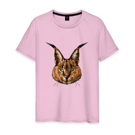Мужская футболка хлопок с принтом Каракал (рысь) в Курске, 100% хлопок | прямой крой, круглый вырез горловины, длина до линии бедер, слегка спущенное плечо. | животные | каракал | киса | кот | котенок | котик | кошка | рысь | хищник