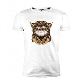 Мужская футболка премиум с принтом Котёнок в Курске, 92% хлопок, 8% лайкра | приталенный силуэт, круглый вырез ворота, длина до линии бедра, короткий рукав | cat | животные | киса | кот | котенок | котик | кошка | сон | спит
