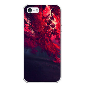 Чехол для iPhone 5/5S матовый с принтом Мрачный лес в Курске, Силикон | Область печати: задняя сторона чехла, без боковых панелей | вечер | времена | время | года | дерево | деревья | живой | закат | красный | куст | кусты | лес | листья | мир | осень | природа | фауна | флора | черный