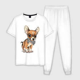 Мужская пижама хлопок с принтом Чихуахуа с бабочкой в Курске, 100% хлопок | брюки и футболка прямого кроя, без карманов, на брюках мягкая резинка на поясе и по низу штанин
 | домашние животные | пес | песик | собака | собачка | чихуахуа