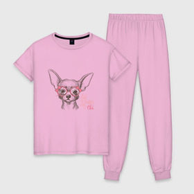 Женская пижама хлопок с принтом Чихуахуа в розовых очках в Курске, 100% хлопок | брюки и футболка прямого кроя, без карманов, на брюках мягкая резинка на поясе и по низу штанин | домашние животные | пес | собака