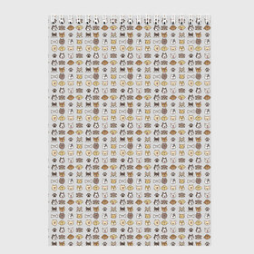 Скетчбук с принтом Веселые Чихуахуа в Курске, 100% бумага
 | 48 листов, плотность листов — 100 г/м2, плотность картонной обложки — 250 г/м2. Листы скреплены сверху удобной пружинной спиралью | Тематика изображения на принте: домашние животные | пес | собака