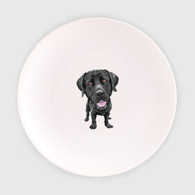 Тарелка с принтом Черный лабрадор в Курске, фарфор | диаметр - 210 мм
диаметр для нанесения принта - 120 мм | домашние животные | лабрадоры | пес | песик | ретриверы | собака | собачка