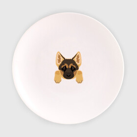 Тарелка с принтом Немецкая овчарка щенок в Курске, фарфор | диаметр - 210 мм
диаметр для нанесения принта - 120 мм | домашние животные | овчарка | собака | собачка