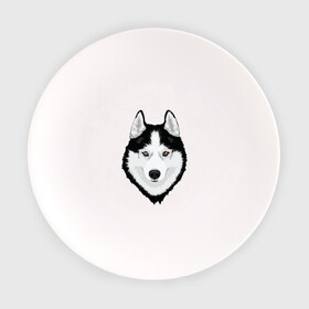 Тарелка с принтом Хаски с разными глазами в Курске, фарфор | диаметр - 210 мм
диаметр для нанесения принта - 120 мм | Тематика изображения на принте: домашние животные | пес | собака