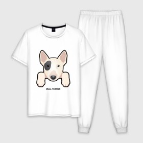 Мужская пижама хлопок с принтом Бультерьерчик в Курске, 100% хлопок | брюки и футболка прямого кроя, без карманов, на брюках мягкая резинка на поясе и по низу штанин
 | домашние животные | пес | собака