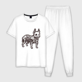 Мужская пижама хлопок с принтом Бульдог ренген в Курске, 100% хлопок | брюки и футболка прямого кроя, без карманов, на брюках мягкая резинка на поясе и по низу штанин
 | бульдог | домашние животные | пес | песик | собака | собачка | французский бульдог