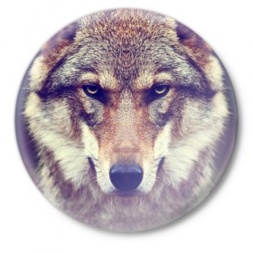 Значок с принтом Wolf в Курске,  металл | круглая форма, металлическая застежка в виде булавки | animal | волк | хищник