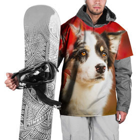 Накидка на куртку 3D с принтом Бордер колли в красных листьях в Курске, 100% полиэстер |  | border collie | dog | бордер колли | красный | листья | осень | собака