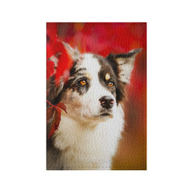 Обложка для паспорта матовая кожа с принтом Бордер колли в красных листьях в Курске, натуральная матовая кожа | размер 19,3 х 13,7 см; прозрачные пластиковые крепления | border collie | dog | бордер колли | красный | листья | осень | собака