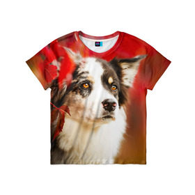 Детская футболка 3D с принтом Бордер колли в красных листьях в Курске, 100% гипоаллергенный полиэфир | прямой крой, круглый вырез горловины, длина до линии бедер, чуть спущенное плечо, ткань немного тянется | border collie | dog | бордер колли | красный | листья | осень | собака