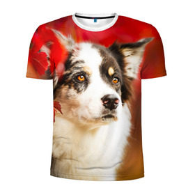 Мужская футболка 3D спортивная с принтом Бордер колли в красных листьях в Курске, 100% полиэстер с улучшенными характеристиками | приталенный силуэт, круглая горловина, широкие плечи, сужается к линии бедра | border collie | dog | бордер колли | красный | листья | осень | собака