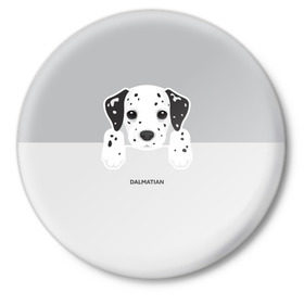 Значок с принтом Dalmatian Puppy в Курске,  металл | круглая форма, металлическая застежка в виде булавки | далматин | далматинец | домашние животные | пес | песик | собака | собачка | терьер | шпиц