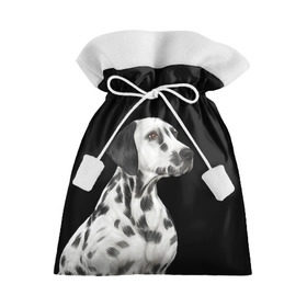 Подарочный 3D мешок с принтом Далматинец арт в Курске, 100% полиэстер | Размер: 29*39 см | далматин | далматинец | домашние животные | пес | песик | собака | собачка | терьер | шпиц