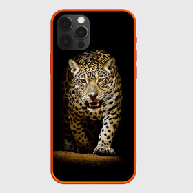 Чехол для iPhone 12 Pro с принтом Leopard в Курске, силикон | область печати: задняя сторона чехла, без боковых панелей | дикая кошка | зверь | клыки | кот | леопард | оскал | пантера | природа | хищник | ягуар