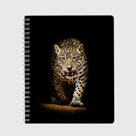 Тетрадь с принтом Leopard в Курске, 100% бумага | 48 листов, плотность листов — 60 г/м2, плотность картонной обложки — 250 г/м2. Листы скреплены сбоку удобной пружинной спиралью. Уголки страниц и обложки скругленные. Цвет линий — светло-серый
 | дикая кошка | зверь | клыки | кот | леопард | оскал | пантера | природа | хищник | ягуар