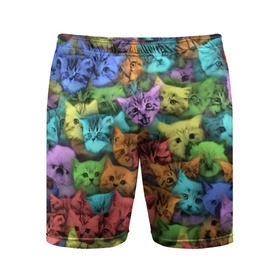 Мужские шорты 3D спортивные с принтом Разноцветные коты в Курске,  |  | котенок | котик | котята | кошка | кошки | паттерн