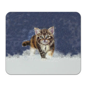 Коврик прямоугольный с принтом Зимний котик в Курске, натуральный каучук | размер 230 х 185 мм; запечатка лицевой стороны | зима | кот | котенок | кошка | новый год | снег | снежинка | снежок