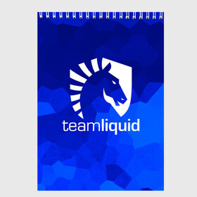 Скетчбук с принтом Team Liquid в Курске, 100% бумага
 | 48 листов, плотность листов — 100 г/м2, плотность картонной обложки — 250 г/м2. Листы скреплены сверху удобной пружинной спиралью | awp | counter strike | cs go | cybersport | game | skin | team liquid | авп | игры | киберспорт | скин