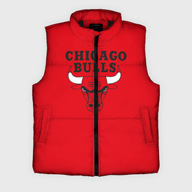 Мужской жилет утепленный 3D с принтом Chicago Bulls в Курске,  |  | bulls | chicago | chicago bulls | nba | баскетбол | буллз | нба | чикаго буллз