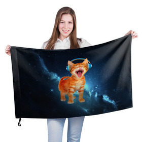 Флаг 3D с принтом Котёнок в наушниках в Курске, 100% полиэстер | плотность ткани — 95 г/м2, размер — 67 х 109 см. Принт наносится с одной стороны | кот | кошка | музыка