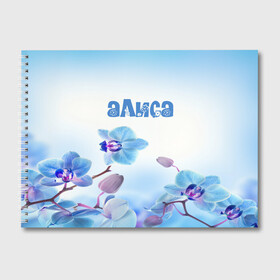 Альбом для рисования с принтом Алиса в Курске, 100% бумага
 | матовая бумага, плотность 200 мг. | flower | name | spring | алиса | букет | весна | имена | имя | природа | узор | цветочный | цветы