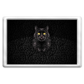 Магнит 45*70 с принтом Чёрный котик в Курске, Пластик | Размер: 78*52 мм; Размер печати: 70*45 | кошка | чёрная