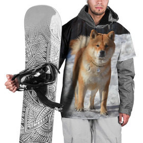 Накидка на куртку 3D с принтом Акита-ину в Курске, 100% полиэстер |  | акита | животное | животные | ину | овчарка | пес | песик | псы | сиба | собака | собаки | шиба