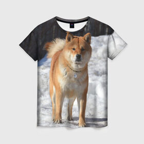 Женская футболка 3D с принтом Акита-ину в Курске, 100% полиэфир ( синтетическое хлопкоподобное полотно) | прямой крой, круглый вырез горловины, длина до линии бедер | акита | животное | животные | ину | овчарка | пес | песик | псы | сиба | собака | собаки | шиба
