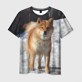 Мужская футболка 3D с принтом Акита-ину в Курске, 100% полиэфир | прямой крой, круглый вырез горловины, длина до линии бедер | акита | животное | животные | ину | овчарка | пес | песик | псы | сиба | собака | собаки | шиба