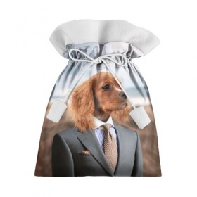 Подарочный 3D мешок с принтом Собака в костюме в Курске, 100% полиэстер | Размер: 29*39 см | Тематика изображения на принте: dog | животные | пёс | собака