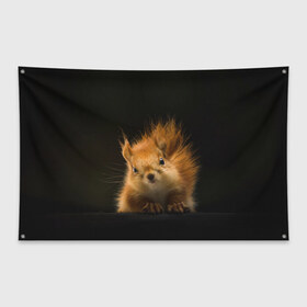 Флаг-баннер с принтом Белочка в Курске, 100% полиэстер | размер 67 х 109 см, плотность ткани — 95 г/м2; по краям флага есть четыре люверса для крепления | белка | взгляд | рыжий