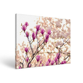 Холст прямоугольный с принтом Сакура в Курске, 100% ПВХ |  | Тематика изображения на принте: деревья | красота | небо | природа | сакура | цветение | цветы | япония