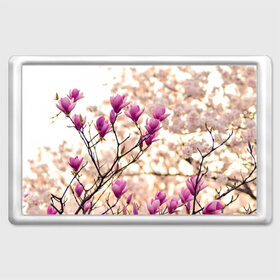 Магнит 45*70 с принтом Сакура в Курске, Пластик | Размер: 78*52 мм; Размер печати: 70*45 | Тематика изображения на принте: деревья | красота | небо | природа | сакура | цветение | цветы | япония