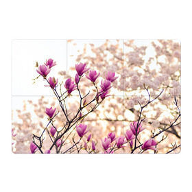 Магнитный плакат 3Х2 с принтом Сакура в Курске, Полимерный материал с магнитным слоем | 6 деталей размером 9*9 см | Тематика изображения на принте: деревья | красота | небо | природа | сакура | цветение | цветы | япония