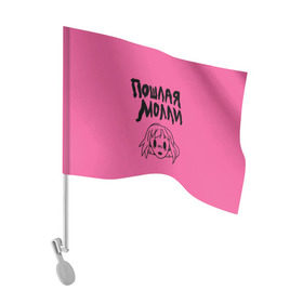 Флаг для автомобиля с принтом Пошлая Молли в Курске, 100% полиэстер | Размер: 30*21 см | Тематика изображения на принте: инди | кирилл бледный | молли | пошлая молли