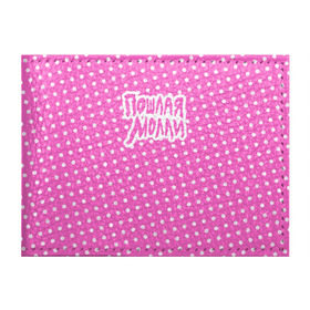 Обложка для студенческого билета с принтом Pink Molly в Курске, натуральная кожа | Размер: 11*8 см; Печать на всей внешней стороне | Тематика изображения на принте: инди | кирилл бледный | молли | пошлая молли