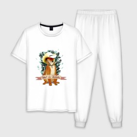 Мужская пижама хлопок с принтом What in Tarnation? в Курске, 100% хлопок | брюки и футболка прямого кроя, без карманов, на брюках мягкая резинка на поясе и по низу штанин
 | dog | doge | meme | memes | мем | мемы | собака | собакен | шиба ину
