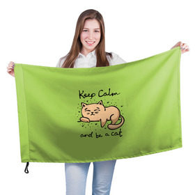 Флаг 3D с принтом Keep Calm and be a cat в Курске, 100% полиэстер | плотность ткани — 95 г/м2, размер — 67 х 109 см. Принт наносится с одной стороны | cat | keep calm | домашние любимцы | животные | котики | котэ | котята | любовь | милые