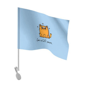 Флаг для автомобиля с принтом I am a Cat Person в Курске, 100% полиэстер | Размер: 30*21 см | cat | домашние любимцы | животные | котики | котэ | котята | любовь | милые