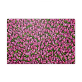 Пазл магнитный 126 элементов с принтом Розовые тюльпаны в Курске, полимерный материал с магнитным слоем | 126 деталей, размер изделия —  180*270 мм | Тематика изображения на принте: 