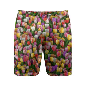 Мужские шорты 3D спортивные с принтом Разноцветные тюльпаны в Курске,  |  | 8 марта | tulip | белый | букет | желтый | зеленый | красный | паттерн | розовый | тюльпан | тюльпанчики | цветок | цветочки | цветы