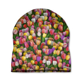 Шапка 3D с принтом Разноцветные тюльпаны в Курске, 100% полиэстер | универсальный размер, печать по всей поверхности изделия | Тематика изображения на принте: 8 марта | tulip | белый | букет | желтый | зеленый | красный | паттерн | розовый | тюльпан | тюльпанчики | цветок | цветочки | цветы
