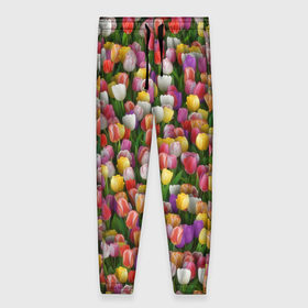 Женские брюки 3D с принтом Разноцветные тюльпаны в Курске, полиэстер 100% | прямой крой, два кармана без застежек по бокам, с мягкой трикотажной резинкой на поясе и по низу штанин. В поясе для дополнительного комфорта — широкие завязки | 8 марта | tulip | белый | букет | желтый | зеленый | красный | паттерн | розовый | тюльпан | тюльпанчики | цветок | цветочки | цветы