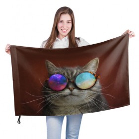 Флаг 3D с принтом котейки в Курске, 100% полиэстер | плотность ткани — 95 г/м2, размер — 67 х 109 см. Принт наносится с одной стороны | cat | взгляд | космос | кот | котик | очки