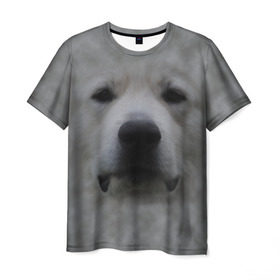 Мужская футболка 3D с принтом Лабрадор в Курске, 100% полиэфир | прямой крой, круглый вырез горловины, длина до линии бедер | голова | животные | лабрадор | пес | природа | собака | собачка | щенок