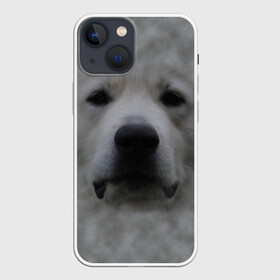 Чехол для iPhone 13 mini с принтом Лабрадор в Курске,  |  | Тематика изображения на принте: голова | животные | лабрадор | пес | природа | собака | собачка | щенок