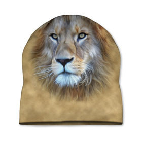 Шапка 3D с принтом Лев в Курске, 100% полиэстер | универсальный размер, печать по всей поверхности изделия | Тематика изображения на принте: голова | животные | кошка | лев | львица | природа | хищник